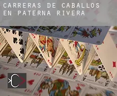 Carreras de caballos en  Paterna de Rivera