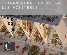 Tragamonedas en Ahigal de los Aceiteros