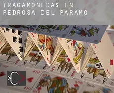 Tragamonedas en  Pedrosa del Páramo