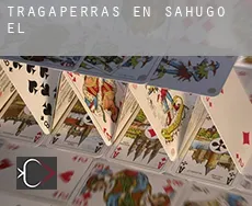 Tragaperras en  Sahugo (El)