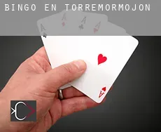 Bingo en  Torremormojón