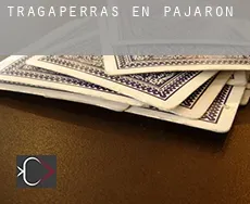 Tragaperras en  Pajarón