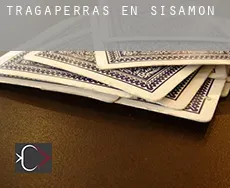 Tragaperras en  Sisamón