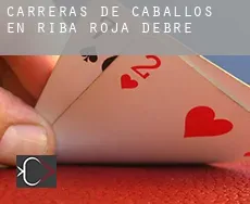Carreras de caballos en  Riba-roja d'Ebre