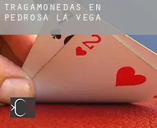 Tragamonedas en Pedrosa de la Vega