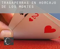 Tragaperras en  Horcajo de los Montes