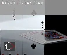 Bingo en  Ayódar