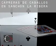 Carreras de caballos en  Sanchón de la Ribera