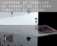 Carreras de caballos en  Tamarit de Llitera / Tamarite de Litera
