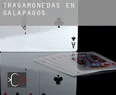Tragamonedas en Galápagos