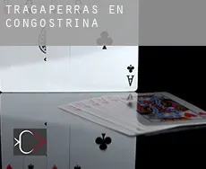 Tragaperras en  Congostrina