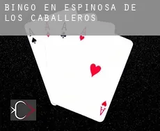 Bingo en Espinosa de los Caballeros