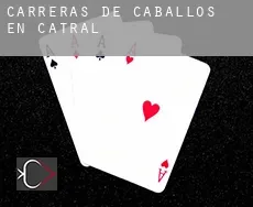 Carreras de caballos en Catral