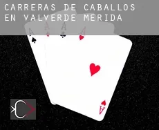 Carreras de caballos en Valverde de Mérida