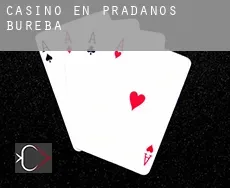 Casino en Prádanos de Bureba