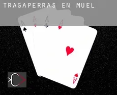 Tragaperras en  Muel