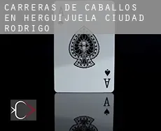 Carreras de caballos en  Herguijuela de Ciudad Rodrigo