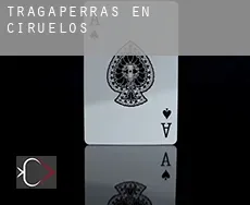 Tragaperras en  Ciruelos