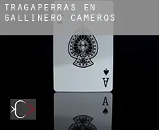 Tragaperras en  Gallinero de Cameros