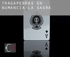 Tragaperras en  Numancia de la Sagra