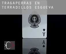 Tragaperras en Terradillos de Esgueva