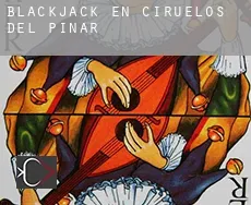 Blackjack en Ciruelos del Pinar