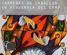 Carreras de caballos en  Figuerola del Camp