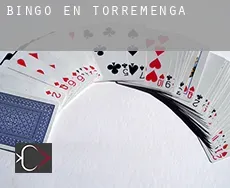Bingo en  Torremenga