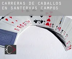 Carreras de caballos en Santervás de Campos