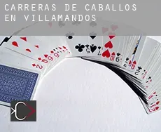 Carreras de caballos en  Villamandos