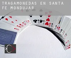 Tragamonedas en  Santa Fe de Mondújar