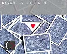Bingo en  Cehegín