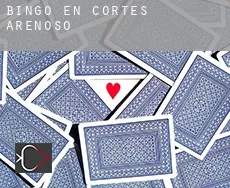 Bingo en  Cortes de Arenoso
