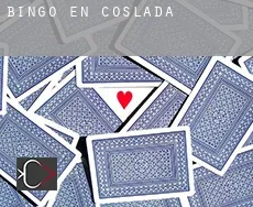 Bingo en  Coslada
