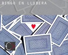 Bingo en Llobera
