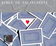 Bingo en  Salvacañete