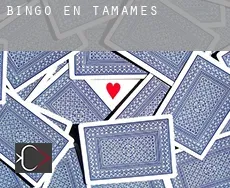 Bingo en  Tamames