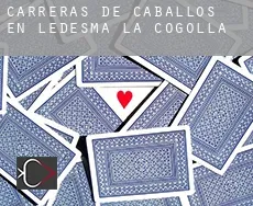 Carreras de caballos en  Ledesma de la Cogolla