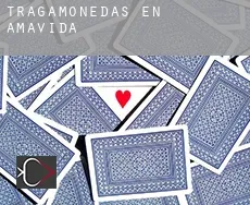 Tragamonedas en  Amavida