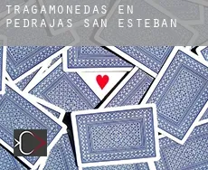 Tragamonedas en  Pedrajas de San Esteban