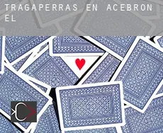 Tragaperras en  Acebrón (El)