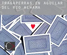 Tragaperras en  Aguilar del Río Alhama