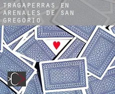Tragaperras en  Arenales de San Gregorio