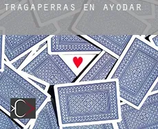 Tragaperras en  Ayódar