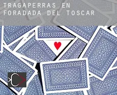 Tragaperras en  Foradada del Toscar