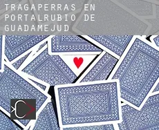 Tragaperras en  Portalrubio de Guadamejud
