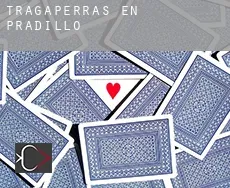 Tragaperras en  Pradillo