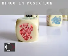 Bingo en  Moscardón