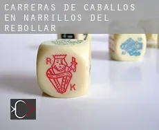Carreras de caballos en  Narrillos del Rebollar