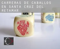Carreras de caballos en Santa Cruz del Retamar